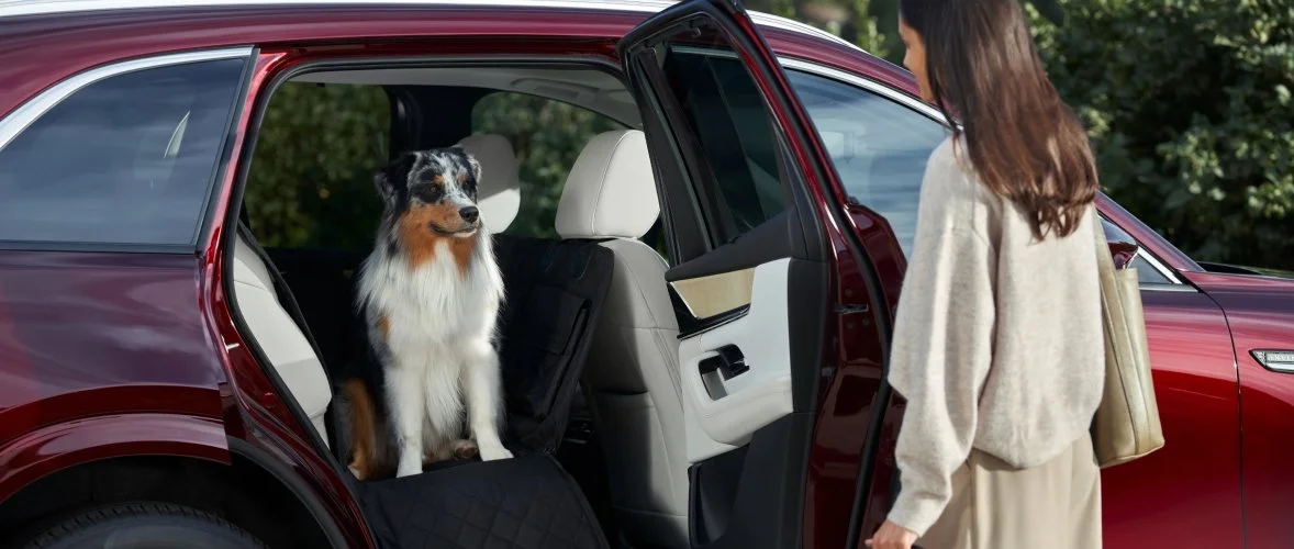 Protectores para Mascotas — Mazda Collection