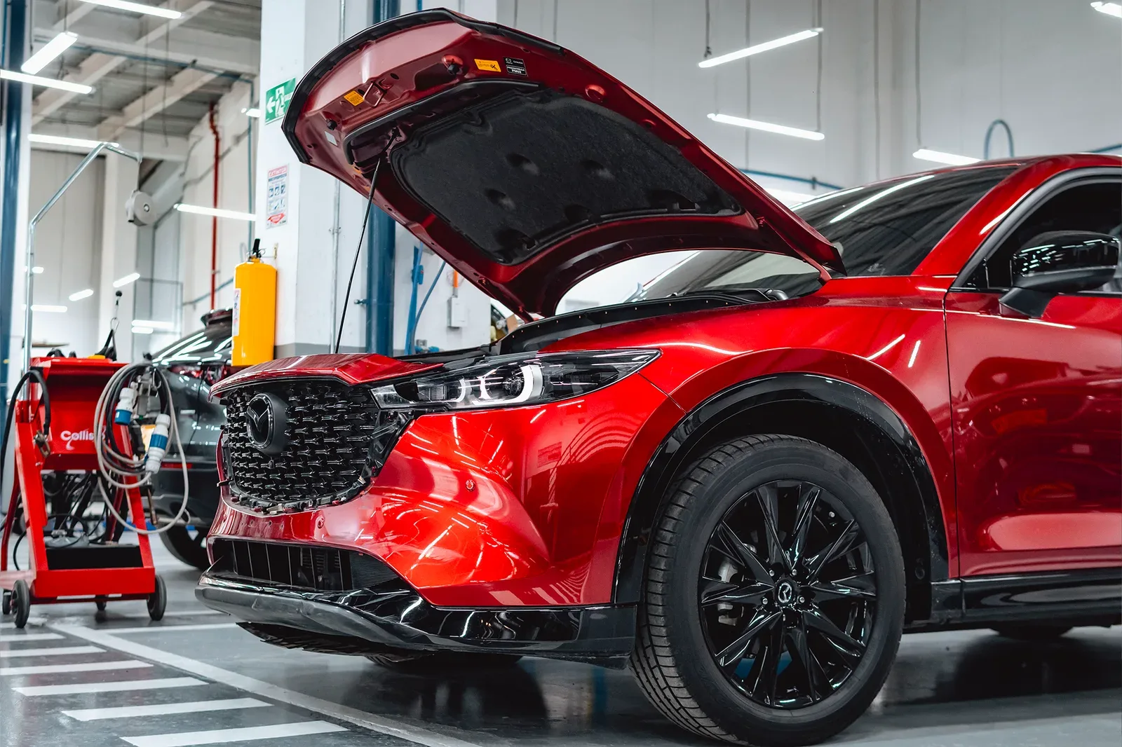 Servicio Mazda Manizales