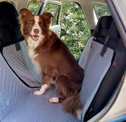 Mazda 2 Sport — Protectores para mascotas