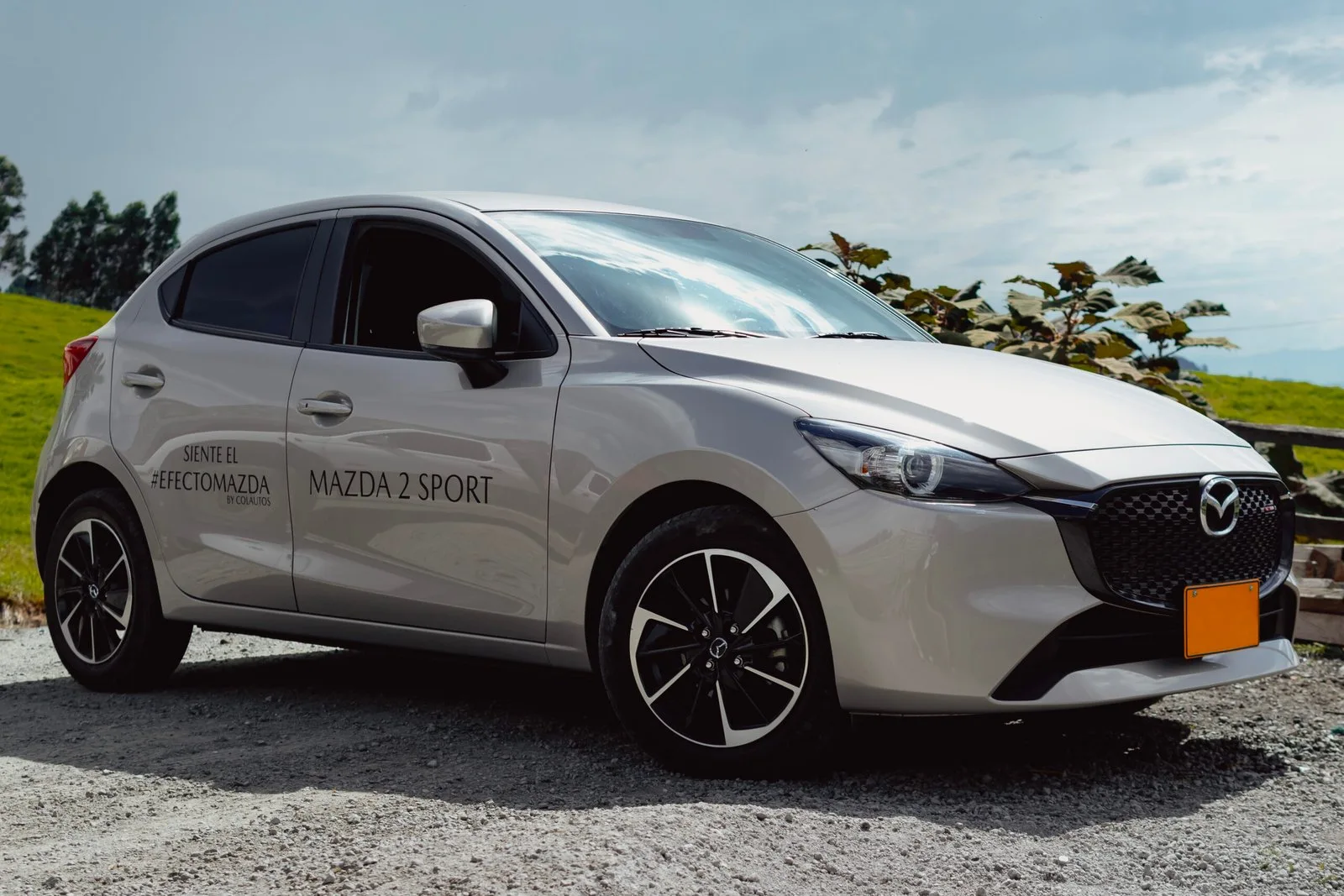 Mazda 2 Sport vista trasera en jardín