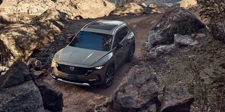 Recorrido inspirador por la cultura japonesa