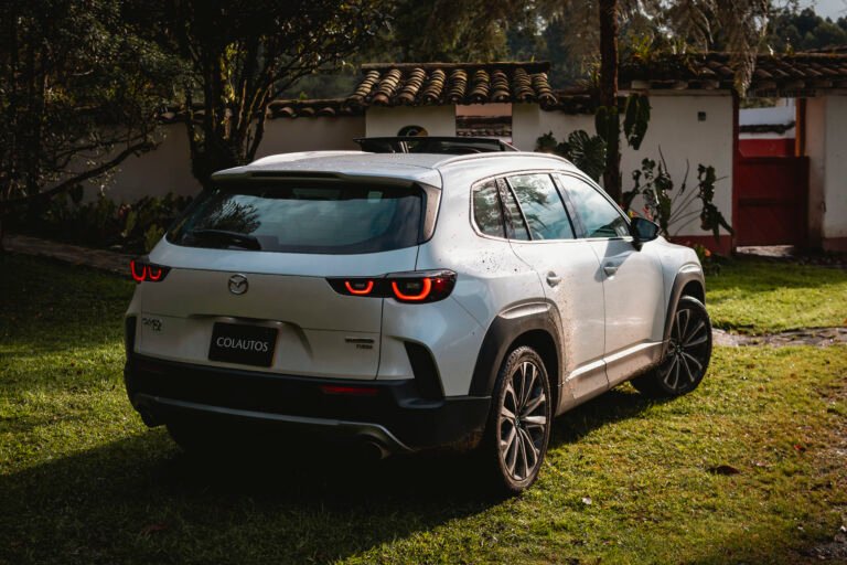 Cosechando Sueños, Sembrando Vida: Nuestro Compromiso Con El Medio Ambiente